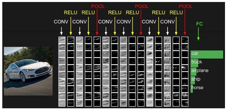 CNN Application on Sample Image