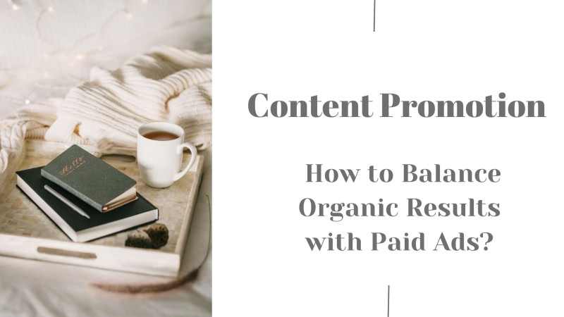 How to Balance Organic Results with Paid Ads?