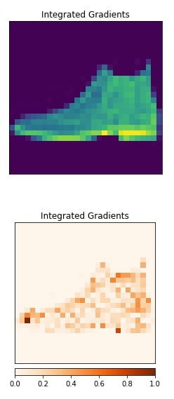Captum: Interpret Predictions Of PyTorch Image Classification Network