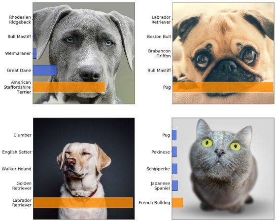 Image Classification