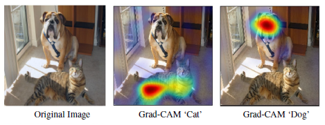 Interpret Predictions Of Deep Neural Networks