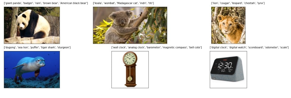 MXNet (GluonCV): Image Classification using Pre-Trained Models