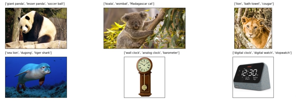 PyTorch: Image Classification using Pre-Trained Models