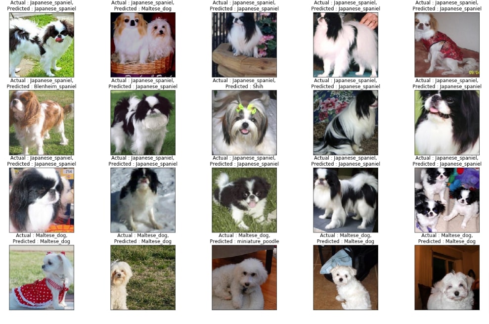 Transfer Learning using PyTorch (Image Classification)