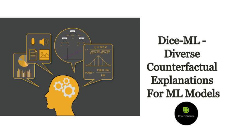 dice-ml