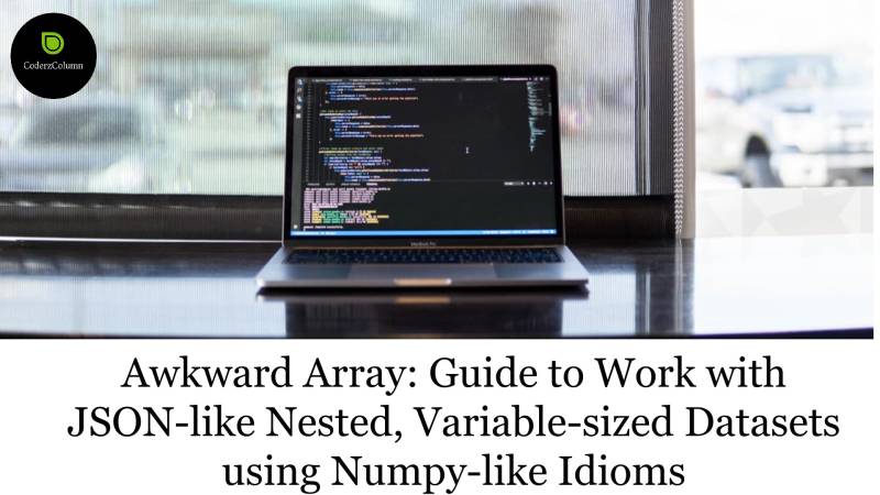 Awkward Array: Guide to Work with JSON-like Nested, Variable-sized Datasets using Numpy-like Idioms