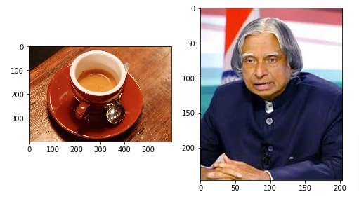 How to Draw Shapes on Images using Scikit-Image [Python]?