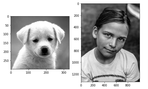 How to Draw Shapes on Images using Scikit-Image [Python]?