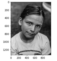 How to Draw Shapes on Images using Scikit-Image [Python]?