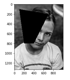 How to Draw Shapes on Images using Scikit-Image [Python]?