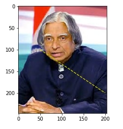 How to Draw Shapes on Images using Scikit-Image [Python]?