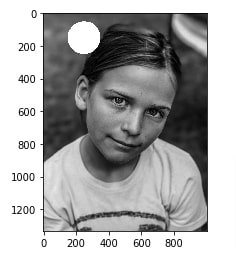 How to Draw Shapes on Images using Scikit-Image [Python]?